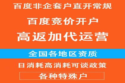 搜索引擎营销（SEM）公司某某的客户成功故事